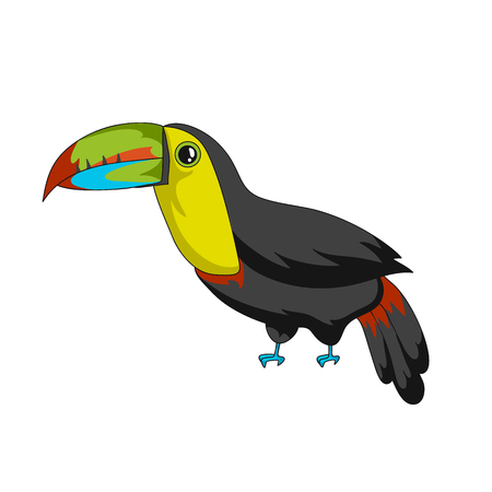 Toucan exotic bird icon. Cartoon vector illustration with stroke isolated on whiteのイラスト素材