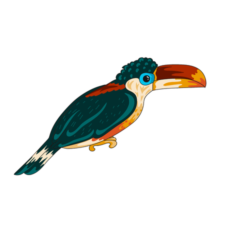Curl-crested aracari toucan icon cartoon style with stroke. Vector illustration isolated on whiteのイラスト素材