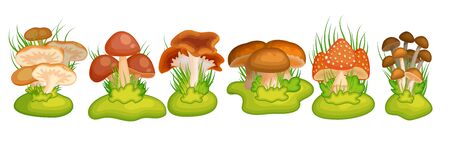 Cartoon mushroom for banner designのイラスト素材