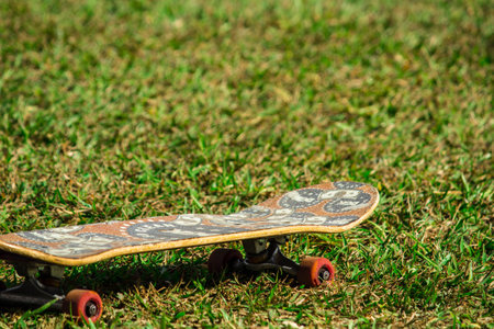 Skate on the lawnの写真素材
