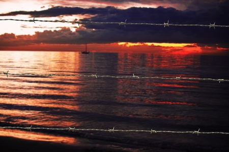 Barbed wire on sunset sky background. Shallow DOFの写真素材