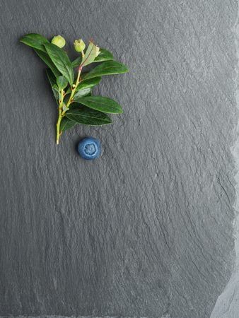 Fresh Blueberry with leaves on dark stone background. Flat lay, top view.の写真素材