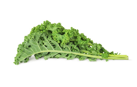 fresh green kale leaves vegetable  isolated  on white backgroundの写真素材