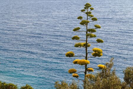 Croatian coastの写真素材