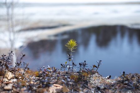 spring, the river clears of ice, seasonal landscapeの写真素材