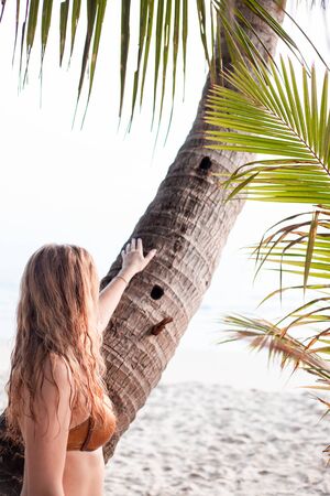 golden-haired girl in a bikini near a palm tree by the seaの写真素材