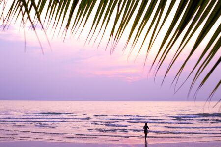 lilac sunset with palm leaves and a silhouette of a girl on a background of the seaの写真素材