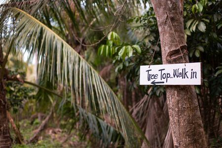 sign in the jungle with the inscription -tree top walk in