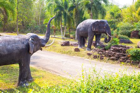 big elephants with a raised trunk walk through the green jungleの写真素材
