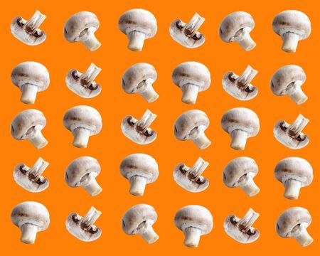 champignon mushrooms champignon mushroom on an orange background, pattern, printable template. High qualityの写真素材