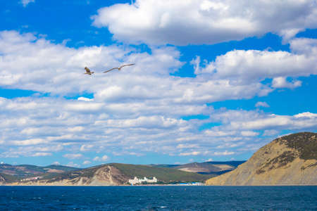 Seascape. Seagulls are flying over the sea. Reserve Bolshoi Utrish. Travel and tourismの写真素材