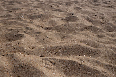 Sea golden sand with shells glistens in the sun Sea shore on a summer day. Travel and tourism.