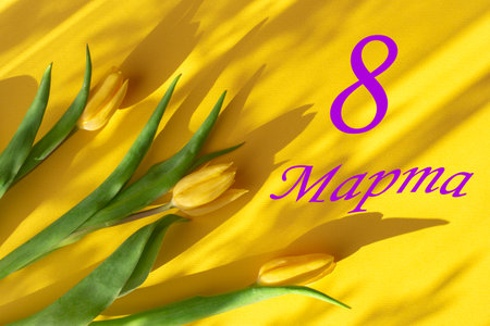 International Women's Day 8 March greeting card. On a yellow background, three yellow tulip flowers...