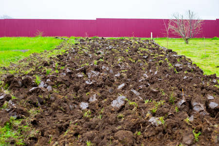 A plowed plot of land for a household, surrounded by a burgundy fence. Planting and growing agricultural crops.の写真素材