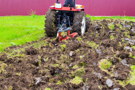 A tractor with a plow plows an agricultural field in the spring for planting potatoes. Plowing the...