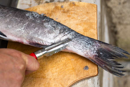 A man cleans fish with a fish scaler in a street kitchen. Outdoor cooking in summer.の写真素材