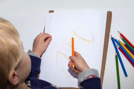 A fair-haired boy with pencils in his hands draws sea animals on white paper, top view. Early childhood development.の写真素材