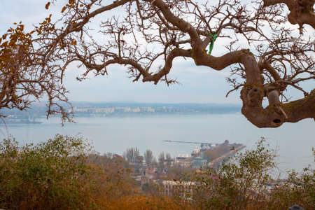Seascape with a view of the city of Kerch, in autumn. A dry tree looms in the foreground.の写真素材