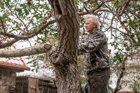 man is sawing a tree with a chainsaw. Cutting dry branches, pruning trees.