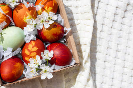 Painted eggs with sakura flowers for the celebration of Holy Easter. Flat lay, copy space.