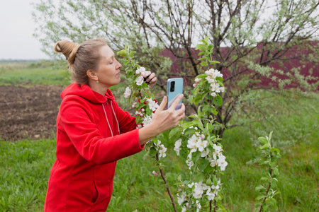 A mature woman inhales the scent of a blossoming apple tree in her garden and shoots a video for social networks on her phone.の写真素材