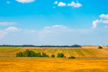 Rural summer landscape. Yellow fields and meadows with blue sky on the horizon on a sunny day.の写真素材