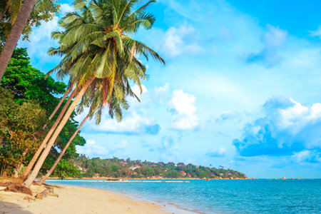 tropical landscape. A blue sea with a leaning palm tree on a sandy shore and a green hill. Travel...