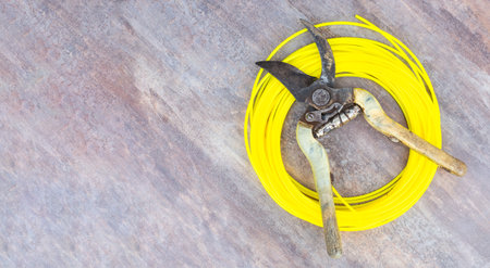 a skein of nylon fishing line for a lawn mower and an iron pruner, copy space. The concept of gardening.の写真素材