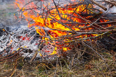 Burning of garden waste on the site. Safety rules with a burning fire.の写真素材