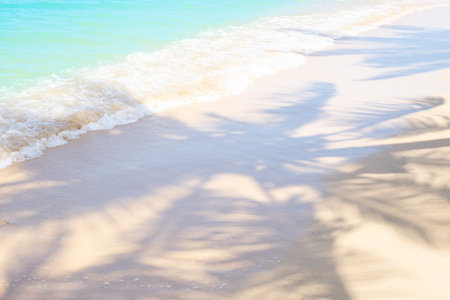 The shade of palm leaves on the white sand of the seashore with an azure foamy wave. Travel and...