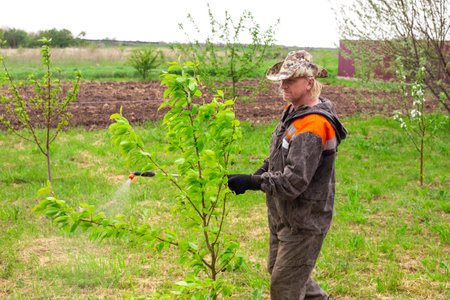 A man in overalls treats young fruit trees against parasites and diseases in a green orchard.