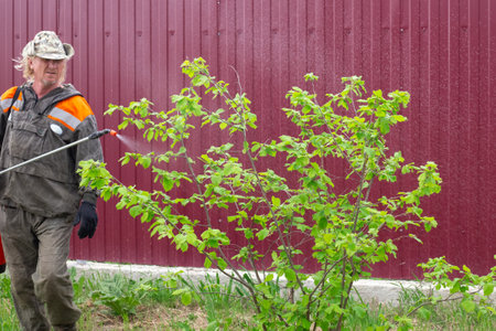 Man treats fruit trees from diseases and insects pests in the garden. Spraying of plants, disease prevention.の写真素材