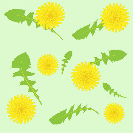 yellow dandelion flowers and green leaves on a light background. vector seamless pattern. Spring pattern for fabric, packaging.のイラスト素材