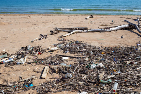 trash beach. Sticks, branches and plastic bottles lie on the sand on the seashore.の写真素材