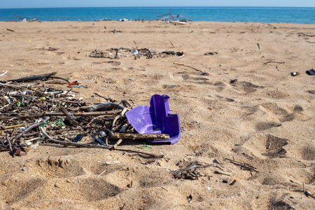Sandy beach with a lot of garbage on the shore. environmental catastrophy.の写真素材