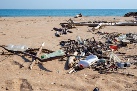trash beach. Sticks, branches and plastic bottles lie on the sand on the seashore.の写真素材