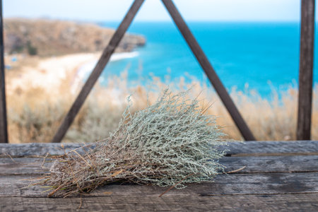 A bunch of dry wormwood herb on a wooden table by the sea. Travel and recreation.