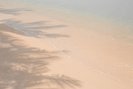 Tropical sea calm background. On the seashore on white sand shadows from coconut palms. Rest and relaxation.の写真素材