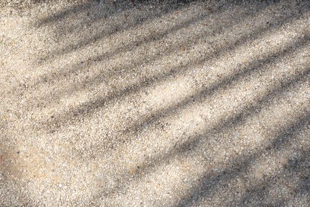 The shadow of a palm branch on the textured surface of the walkway. Abstract background.の写真素材