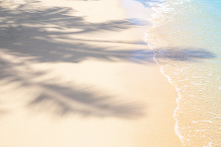 Palm tree shadow on white sand with sea water. Tropical background.