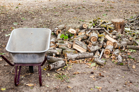 Garden wheelbarrow and a pile of sawn firewood on the ground. Preparing firewood for the winter to heat the house.の写真素材
