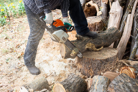 A man cuts a log with a chainsaw. Preparing firewood for the winter to heat the house.の写真素材