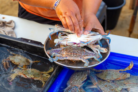 Seafood for sale at a fisherman's market in Asia. A woman places crabs in a bowl for weighing.の写真素材