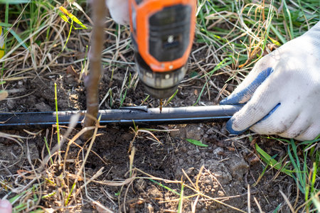 Drip irrigation. Drilling a hole in a polypropylene pipe to install a water diffuser.
