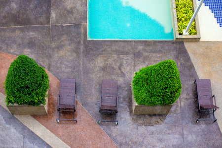 Sun loungers and decorative green plants in the recreation area near the pool on a rainy day, view...