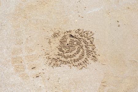 Sand drawing made by a crab. Small hole and sand balls in a circle, geometric pattern, background.の写真素材
