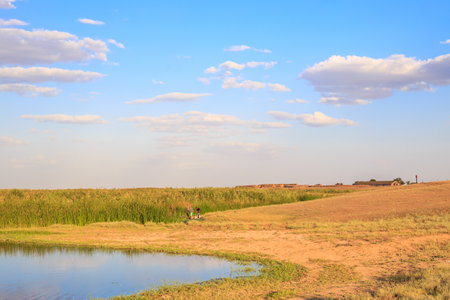Water landscape. Blue lake overgrown with reeds on a summer day, with fishermen in the distance.の写真素材