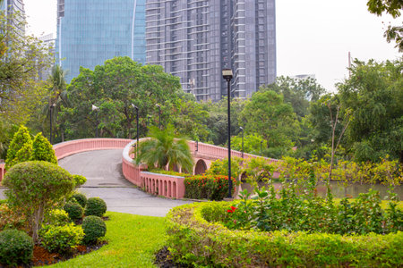 Chatuchak Park in Bangkok. Tropical plants and flowers and a beautiful bridge over the lake.の写真素材