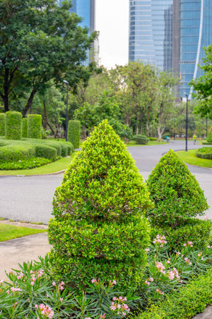Landscape design of the city park. Composition of various plants and green trimmed figurative bushes.の写真素材