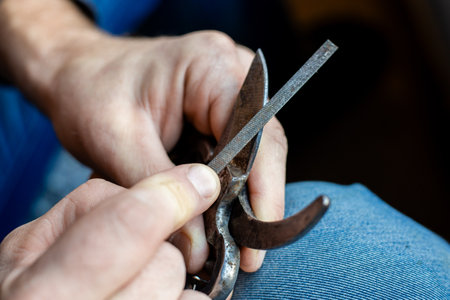 A man sharpens the blade of a garden pruner with a file. Garden tools.